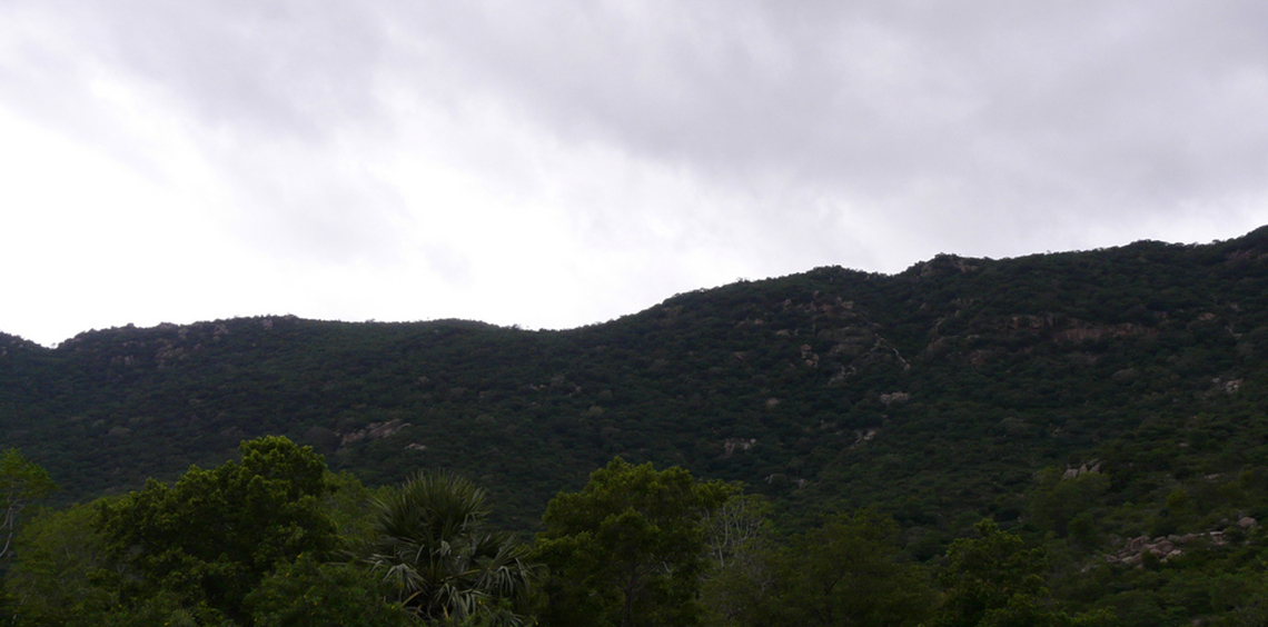 Image Name - Yelagiri Mountains Monsoon Season