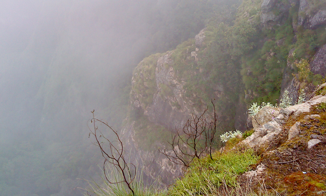 Kodaikanal Suicide Point fog