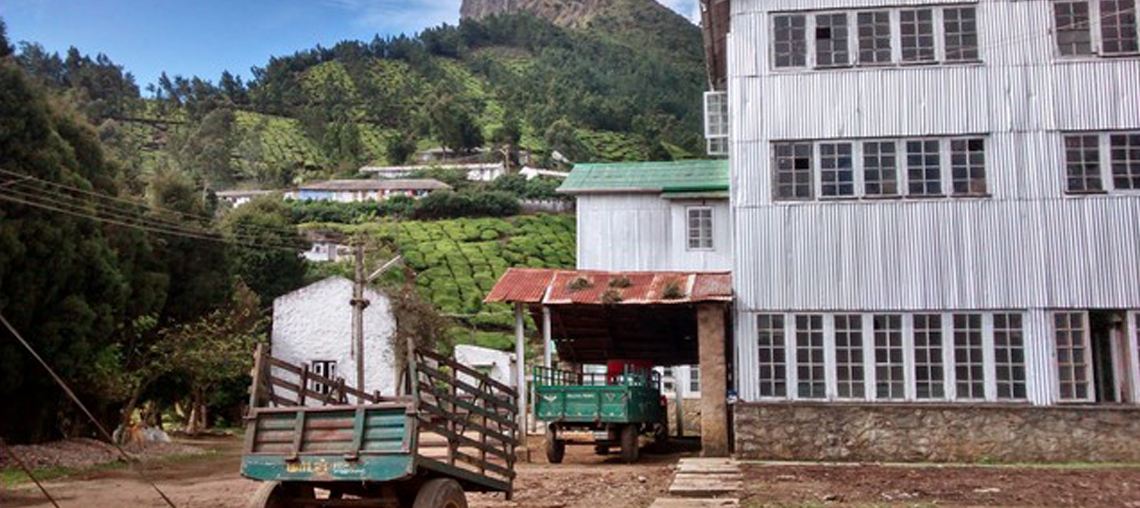 Kolukkumalai Tea Factory