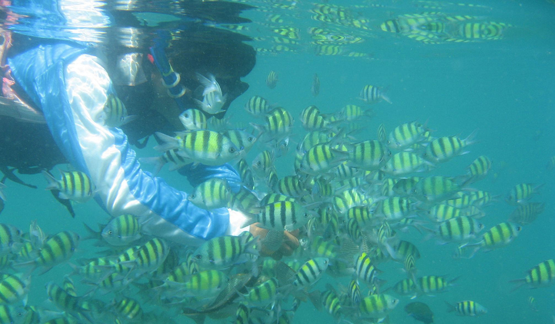 Snorkelling in Andaman Nicobar Islands - Places to Visit