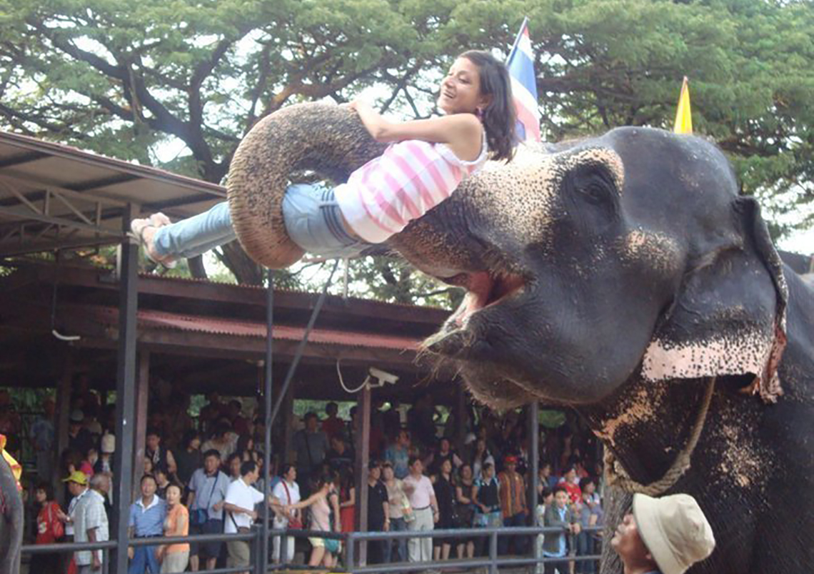 The Land of White Elephants - Bangok, Thailand