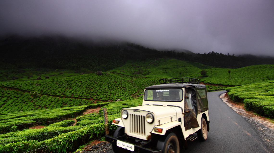 The beautiful roads around Munnar, the Mountains and the Mist!