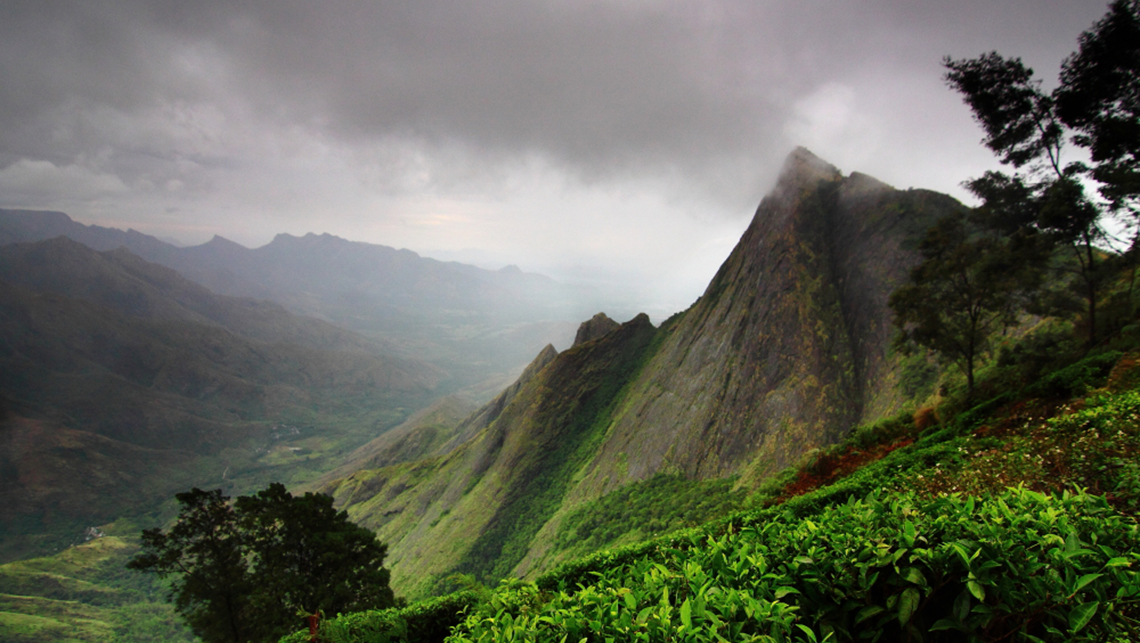 The view from Kolukkumalai Tea Estate overlooking Tamilnadu