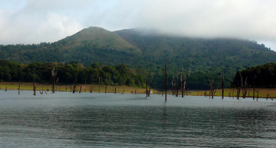 Thekkady Periyar Lake Monsoon