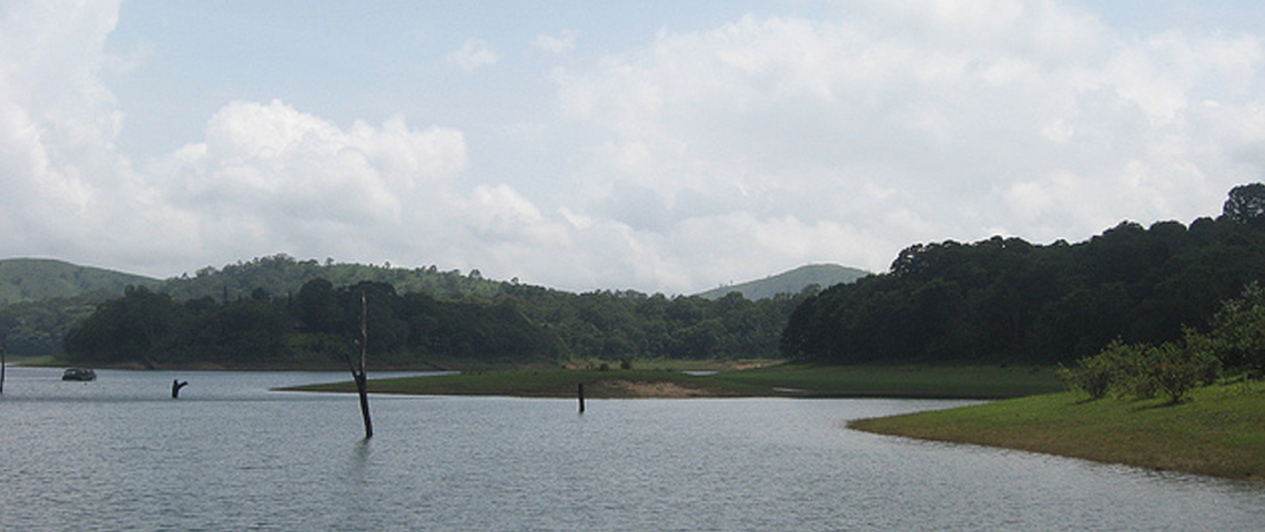 Thekkady- a Nature Trekker’s Dream