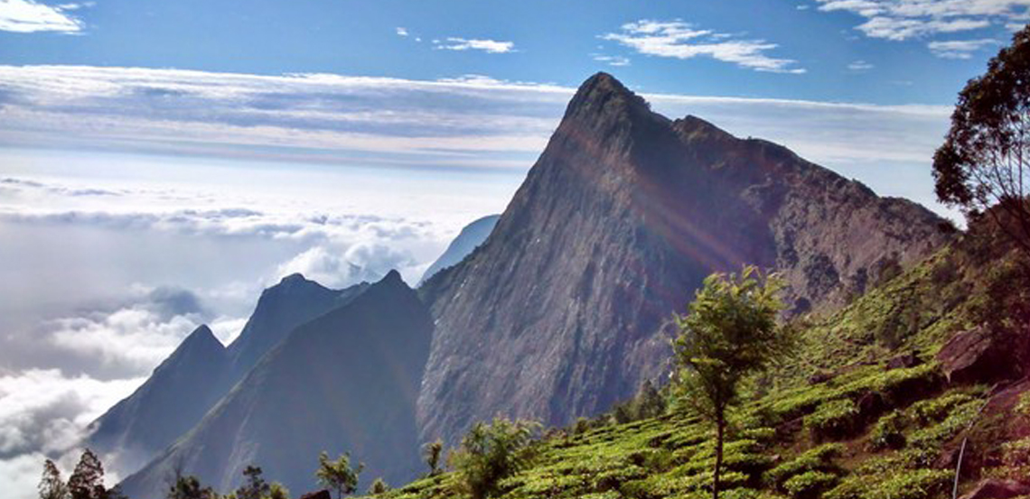 kodaikanal to munnar road- route Images