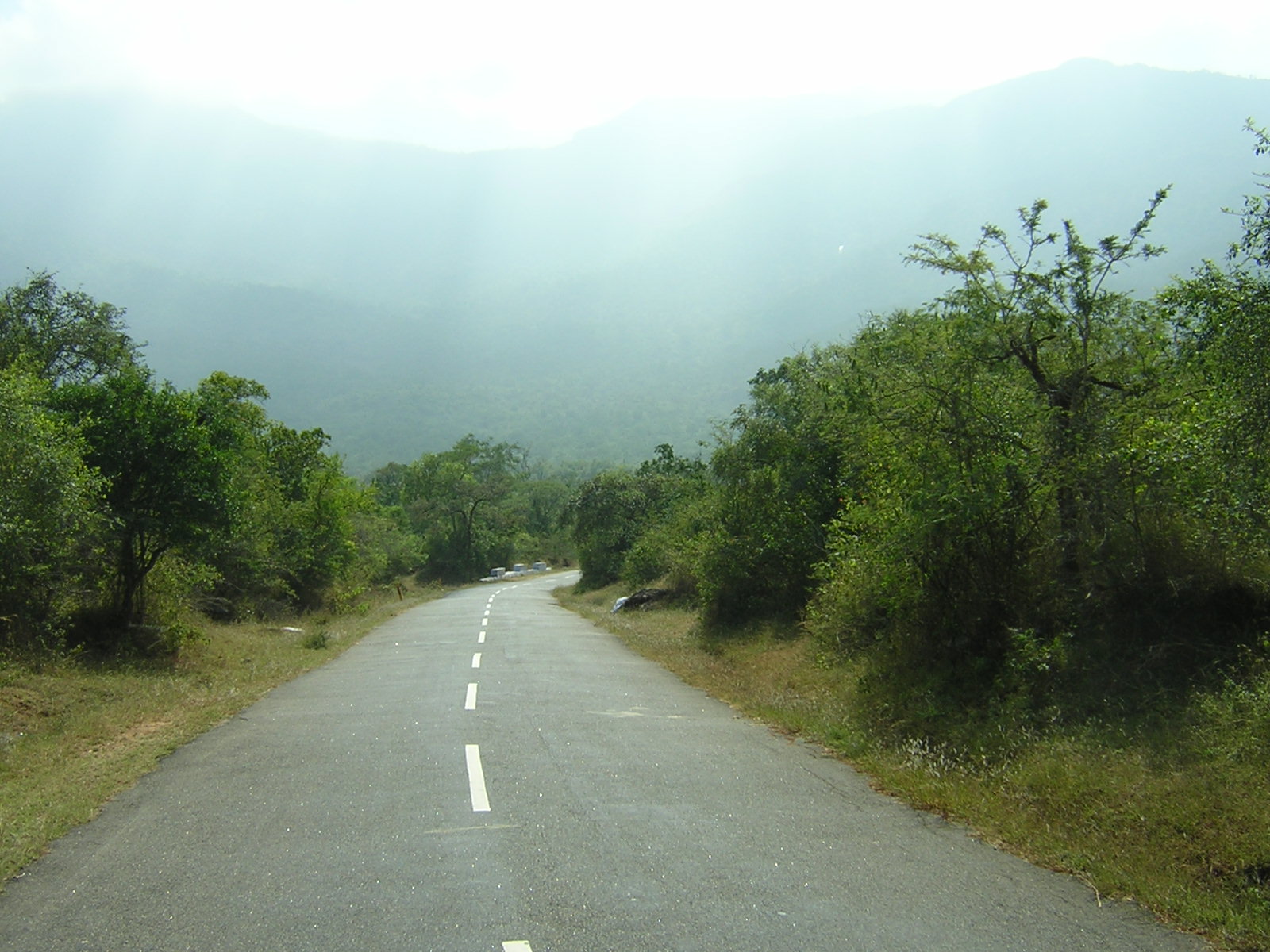 mysore to ooty road trip Images