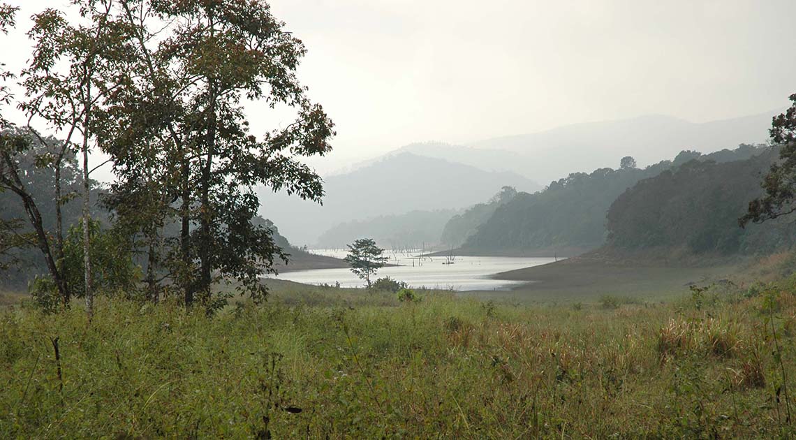 periyar national park kerala india images