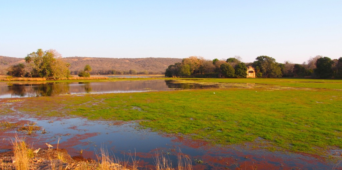 ranthambore national park rajasthan india