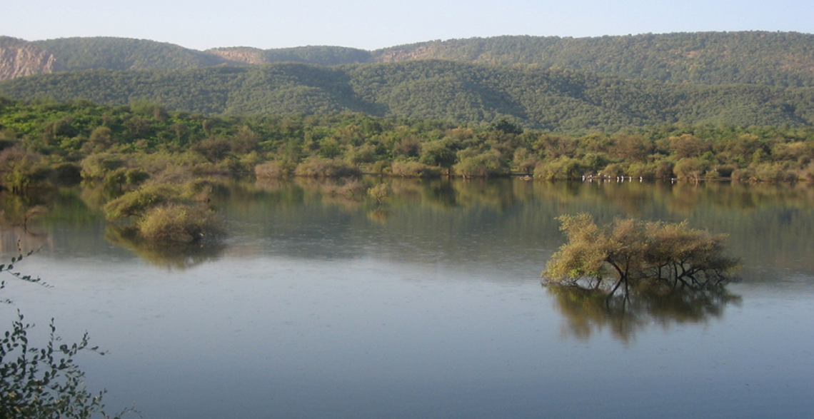 sariska tiger reserve rajasthan