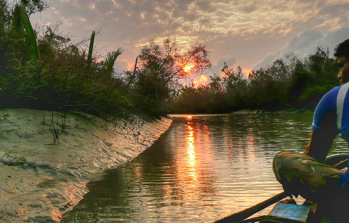 sundarbans national park west bengal images