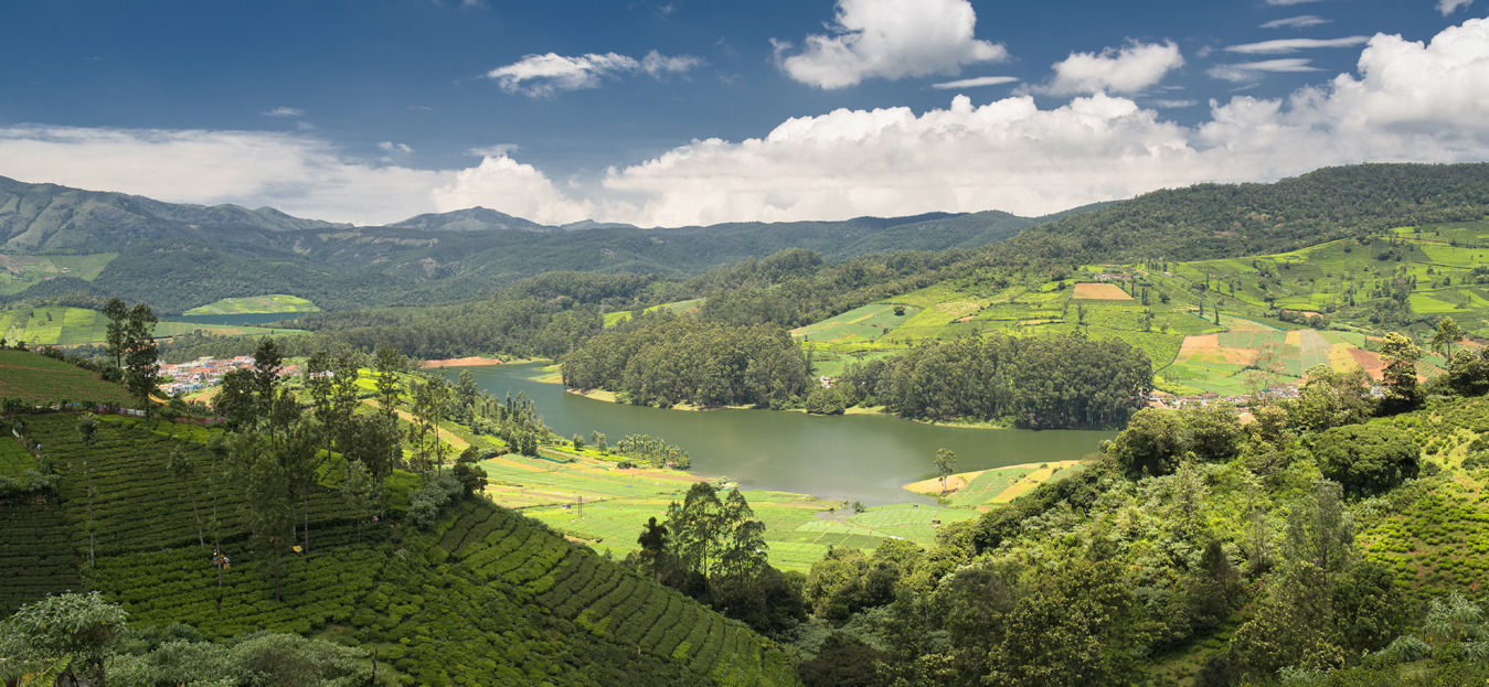 Kodaikanal vs Ooty- What’s Your Pick?