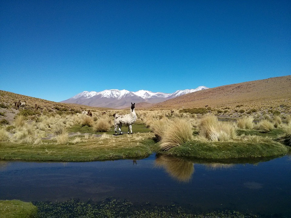 bolivia