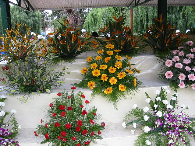 flower_show_ooty