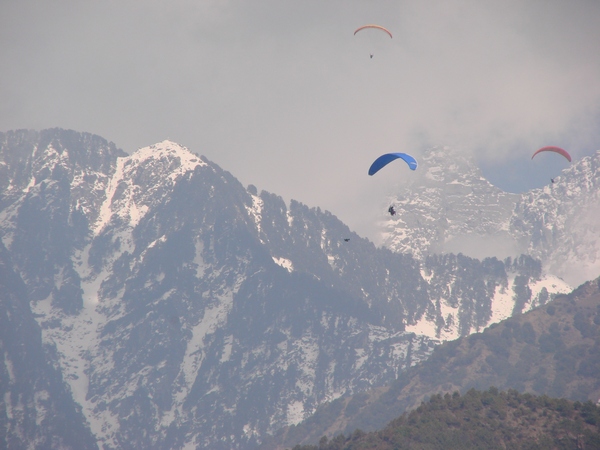 paragliding_in_dharamshala
