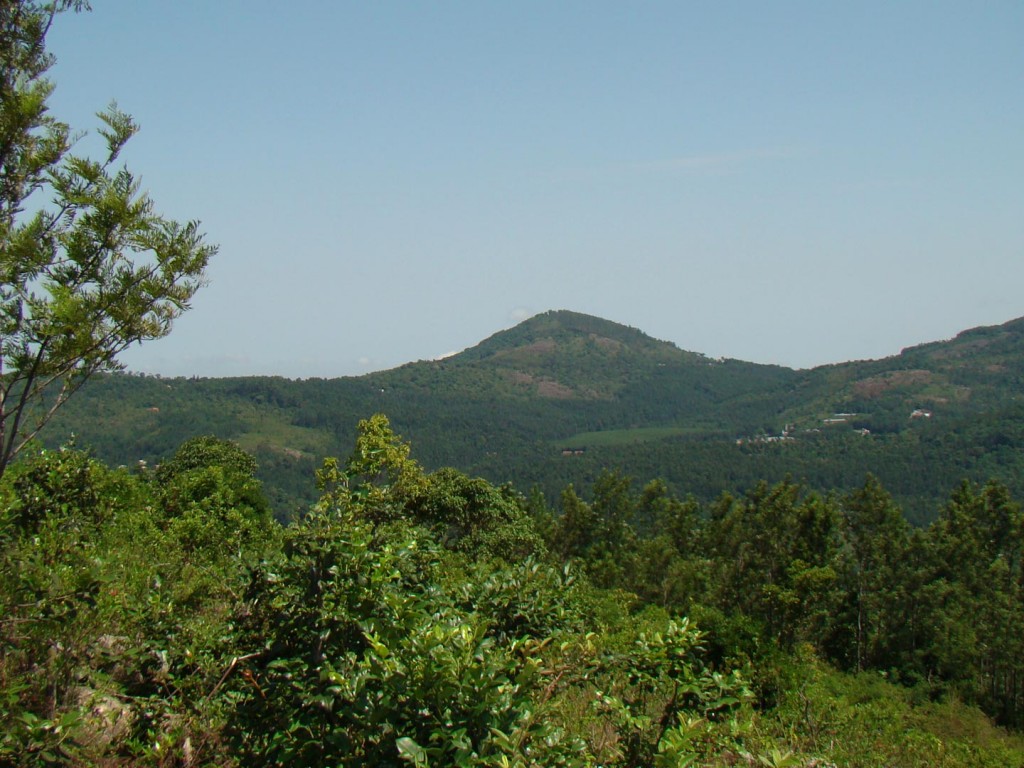 yercaud