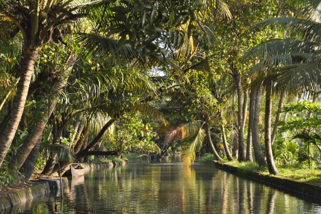 kerala-backwaters-houseboat-tours-4