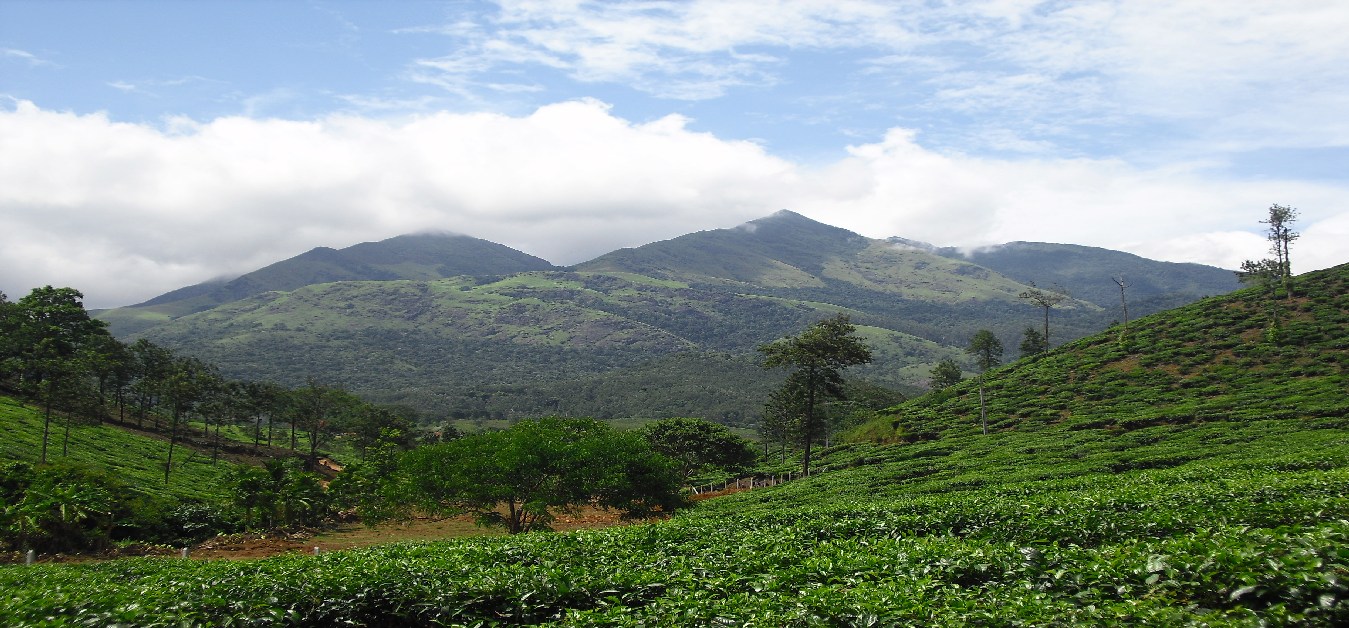 wayanad