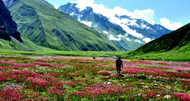 valley-of-flowers-trek