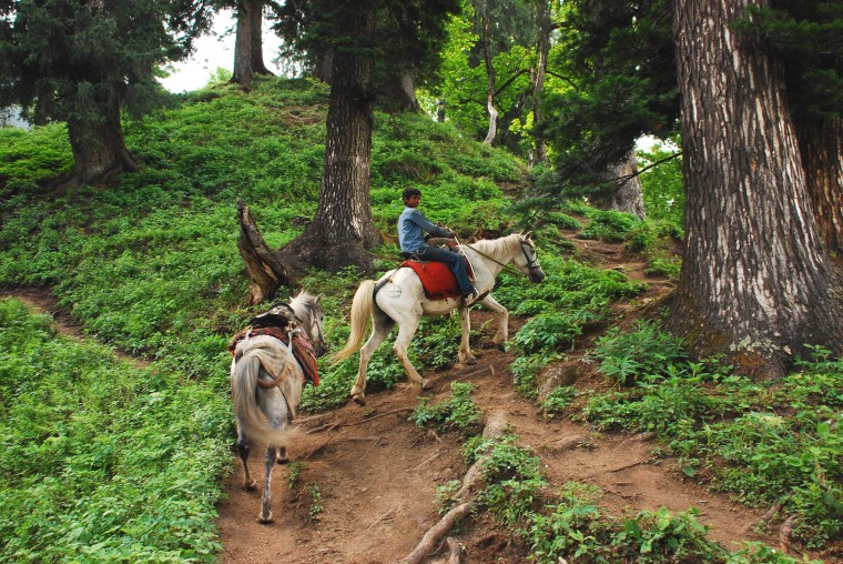 horse-riding-mussorie