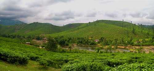 Murikkady