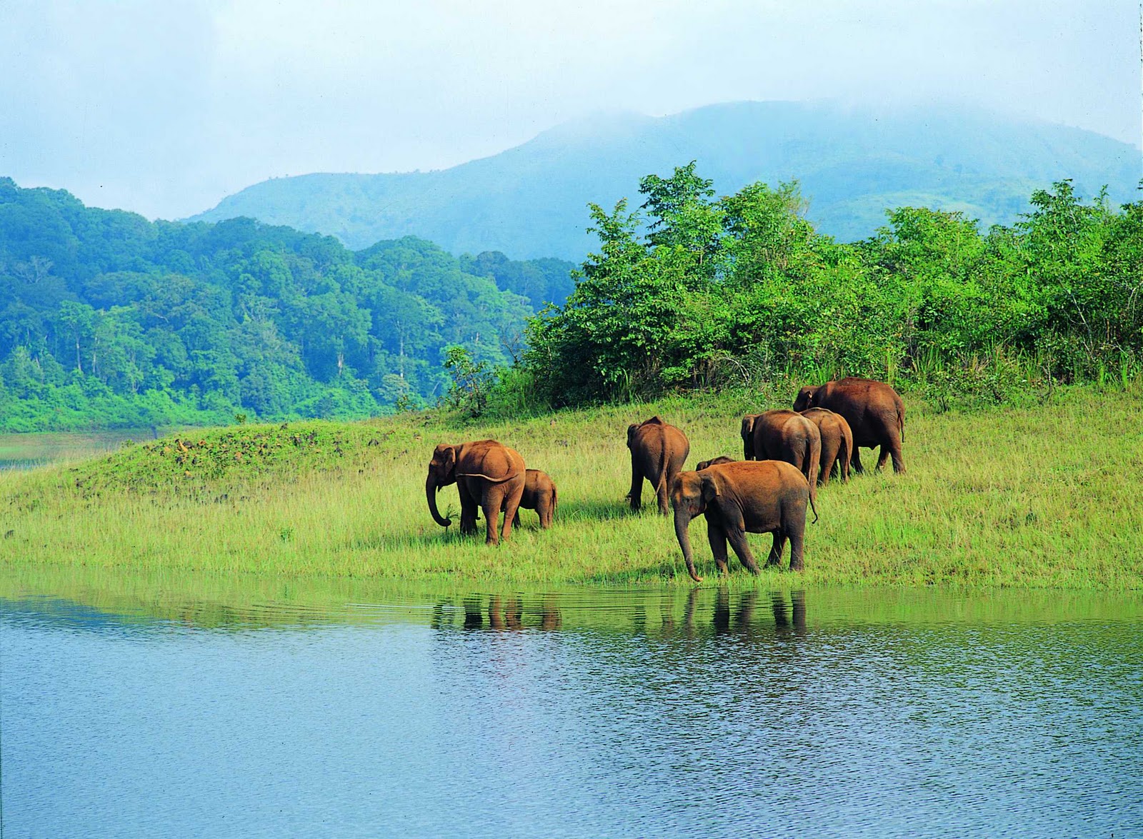 Periyar Wildlife Sanctuary