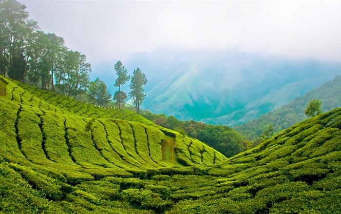 thekkady