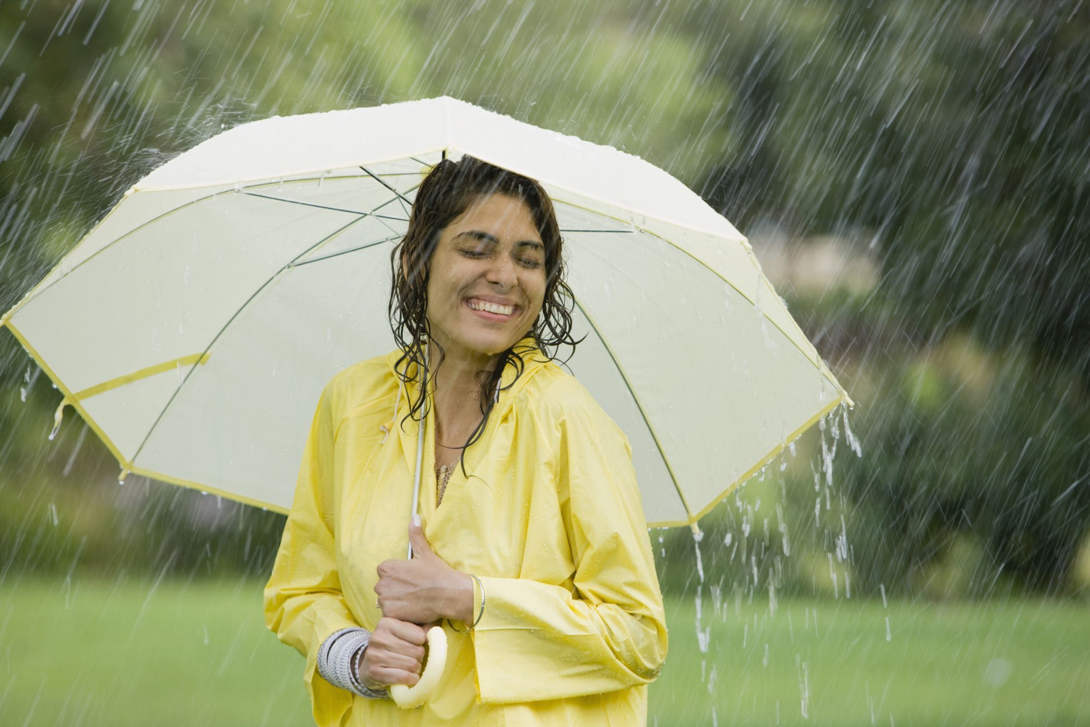 umbrella 