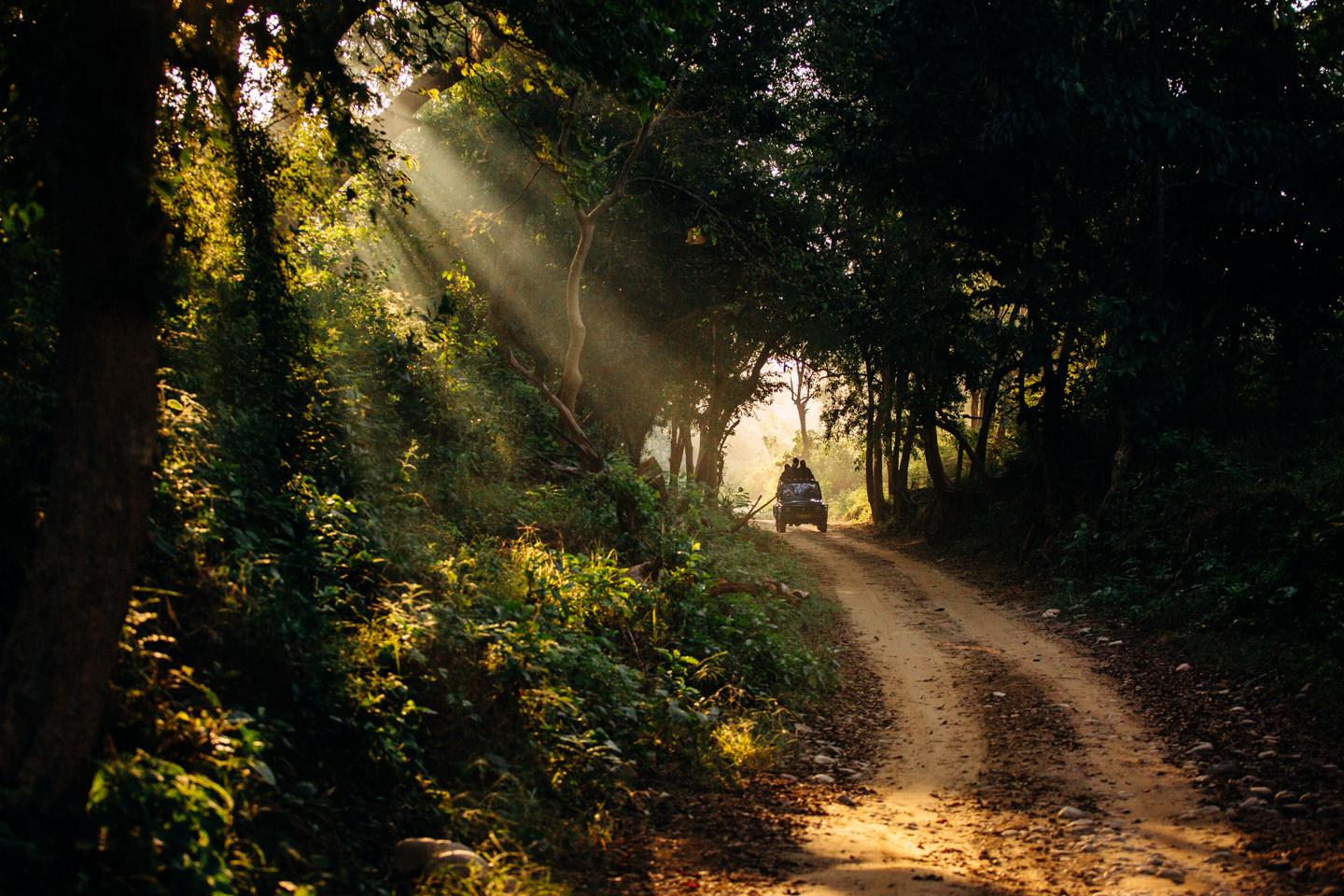 Corbett National Park