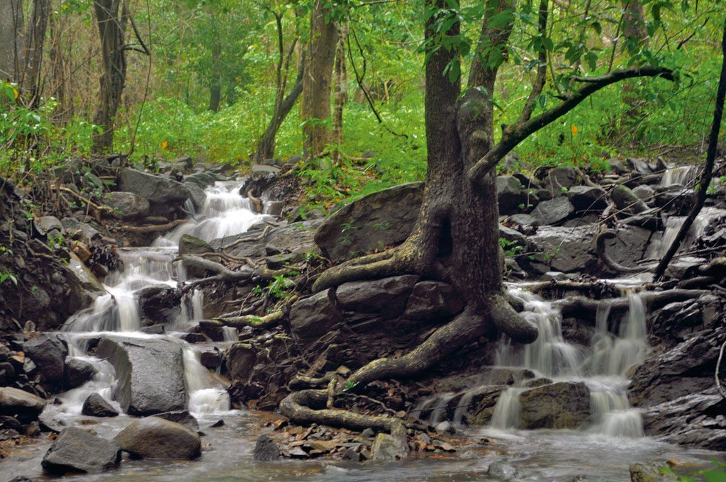 Bondla Wildlife Sanctuary