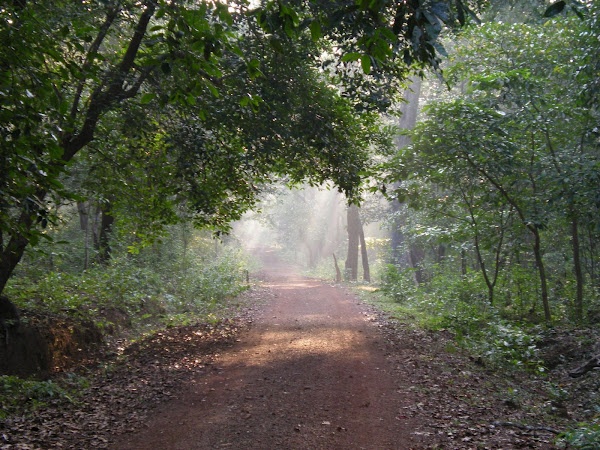 Cotigao Wildlife Sanctuary