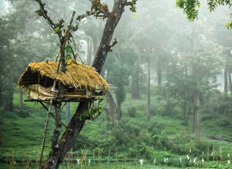 Pakshipathalam Bird Sanctuary