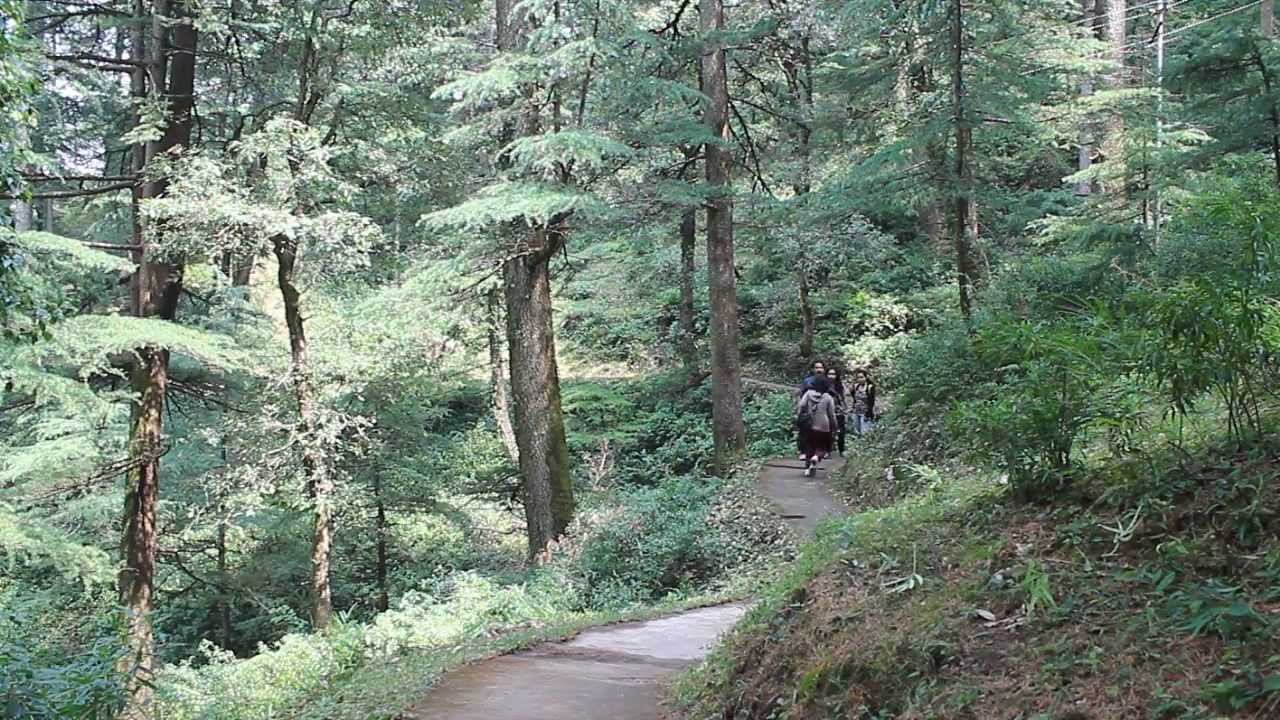 trekking in chail