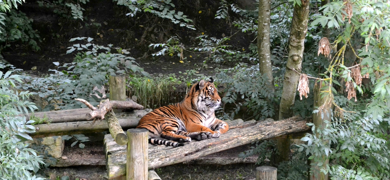 Kanha National Park