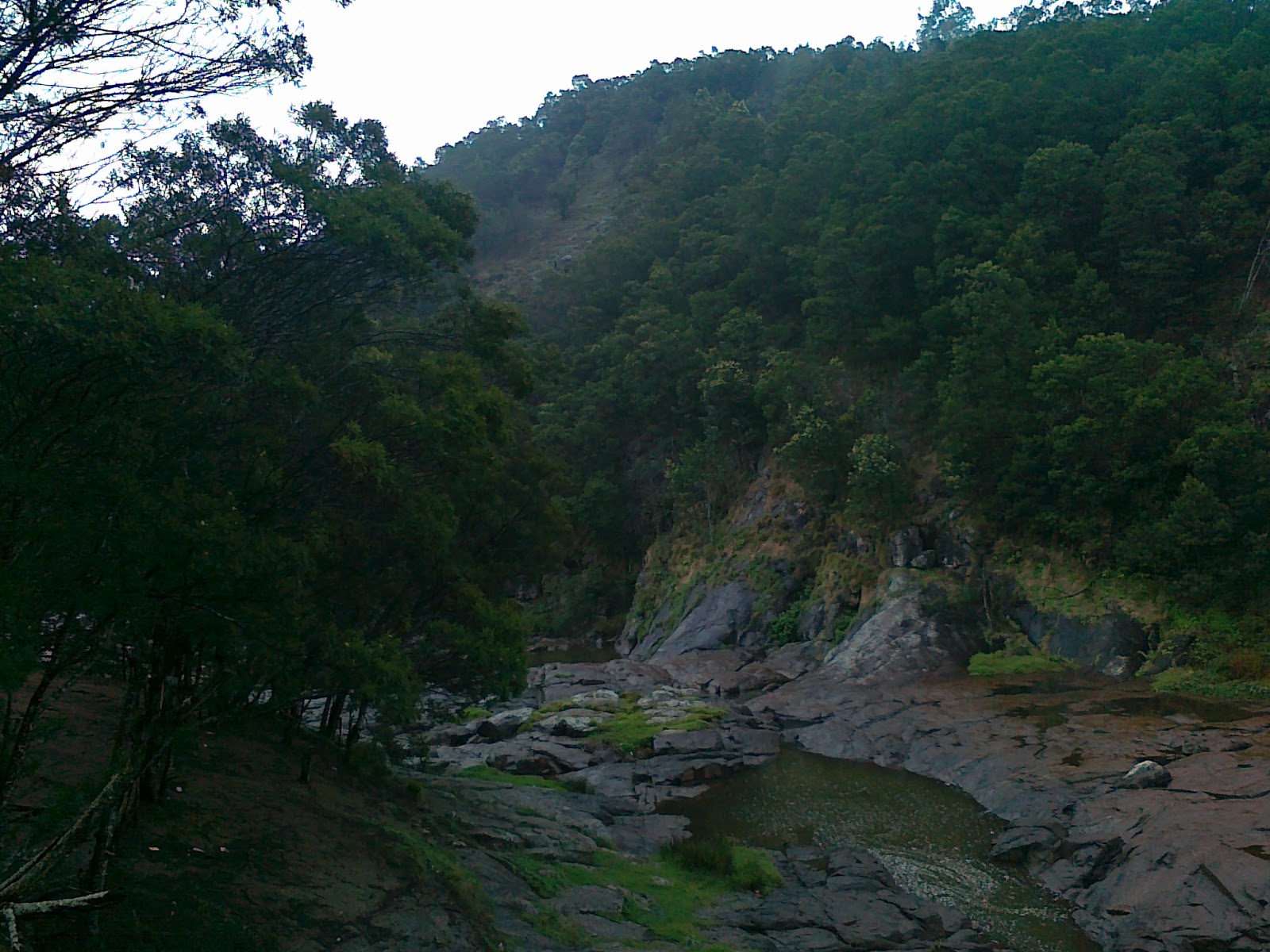 waterfalls in wayanad