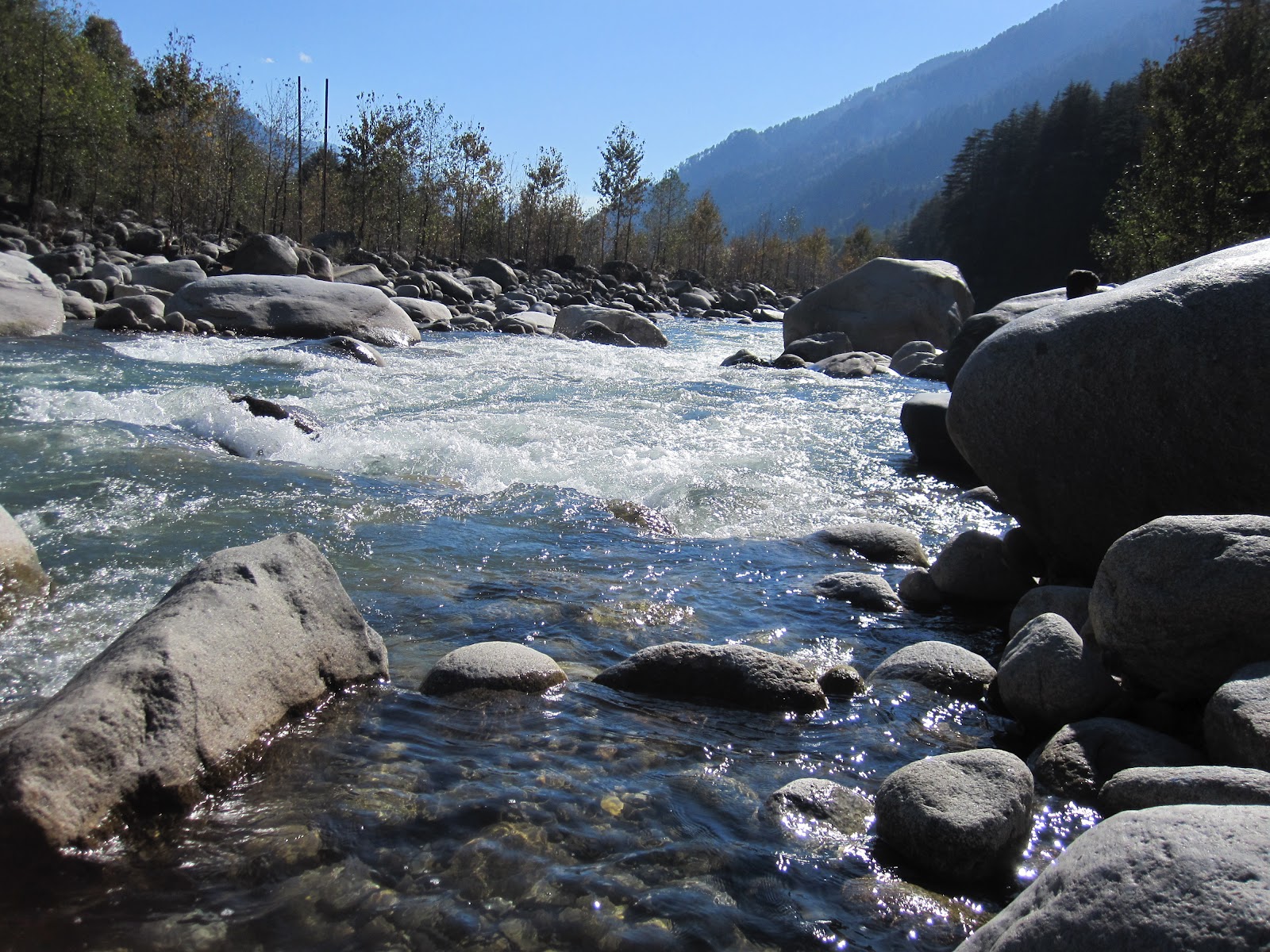 Beas River