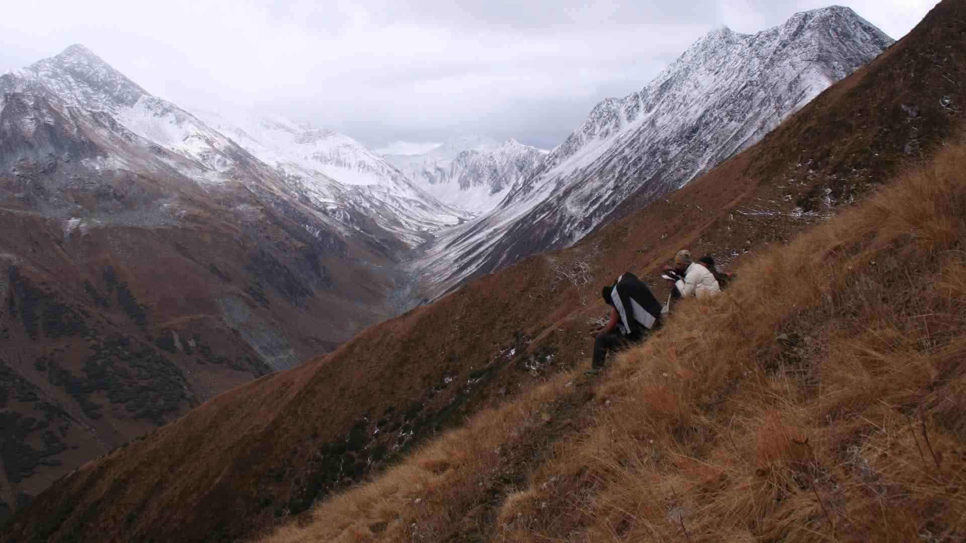 Great-Himalaya