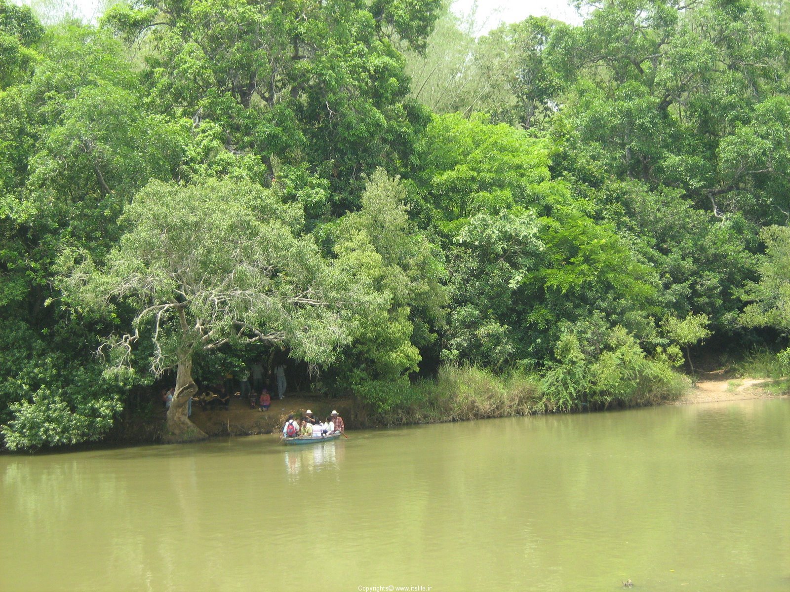 Kuruva Island