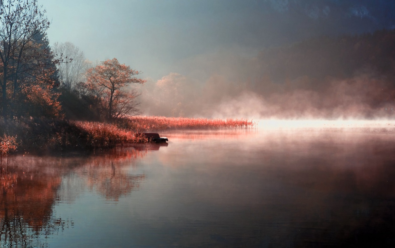 Lake Mist