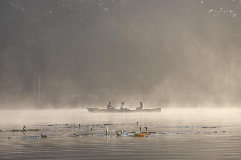 PamPampadum Shola National Park