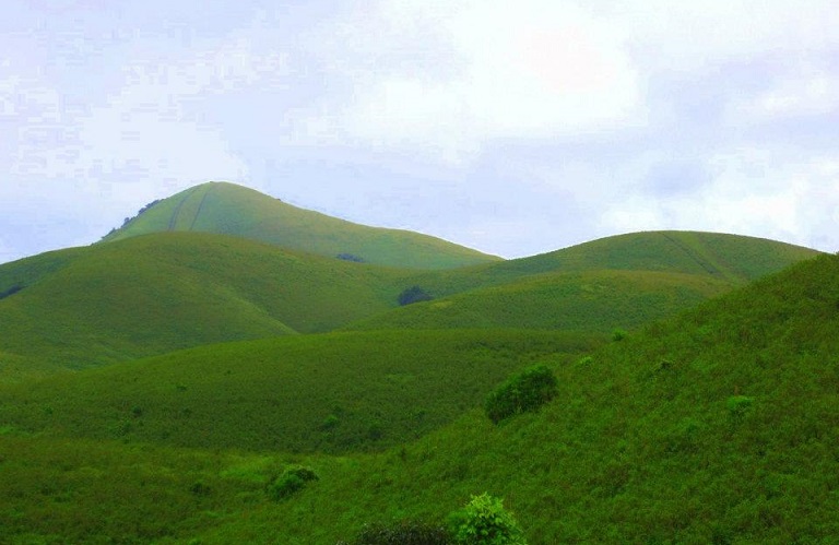 Pakshipathalam