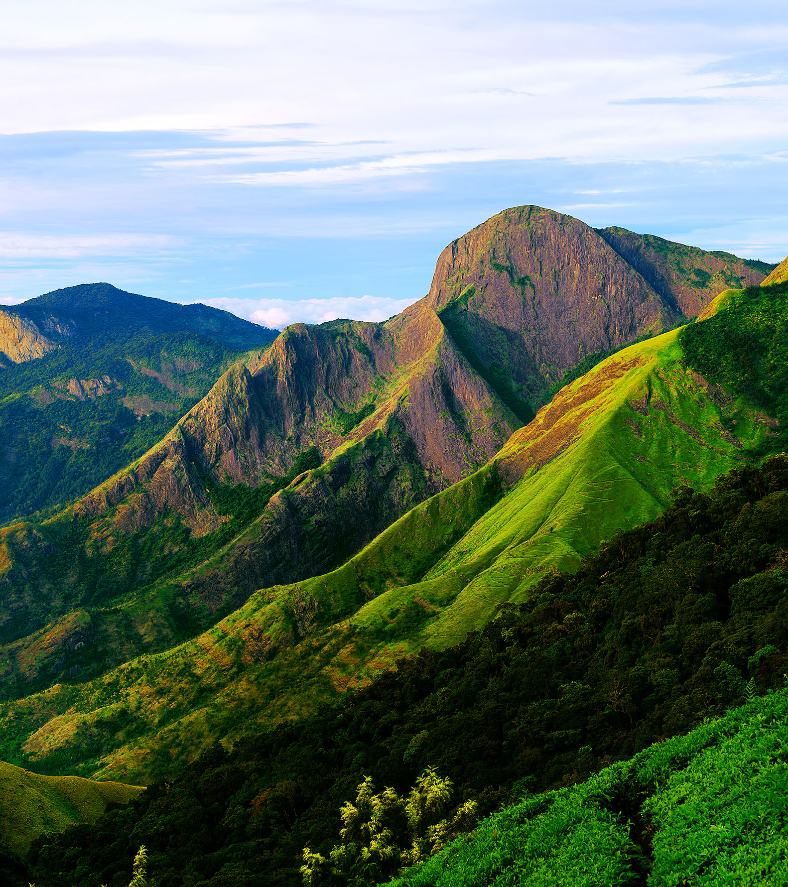 Take a Sip of Tea History at Top Station