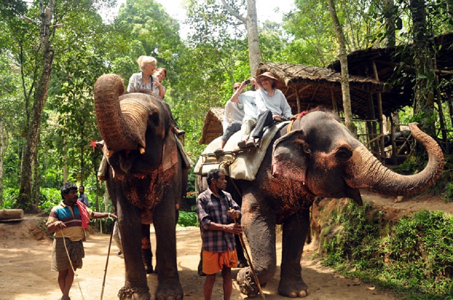 Carmelagiri Elephant Park