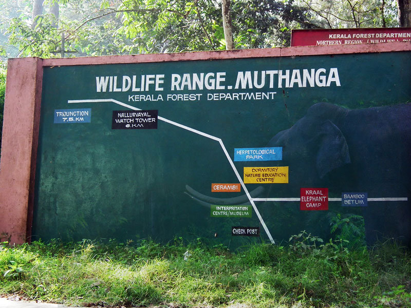 Muthanga Wildlife Sanctuary