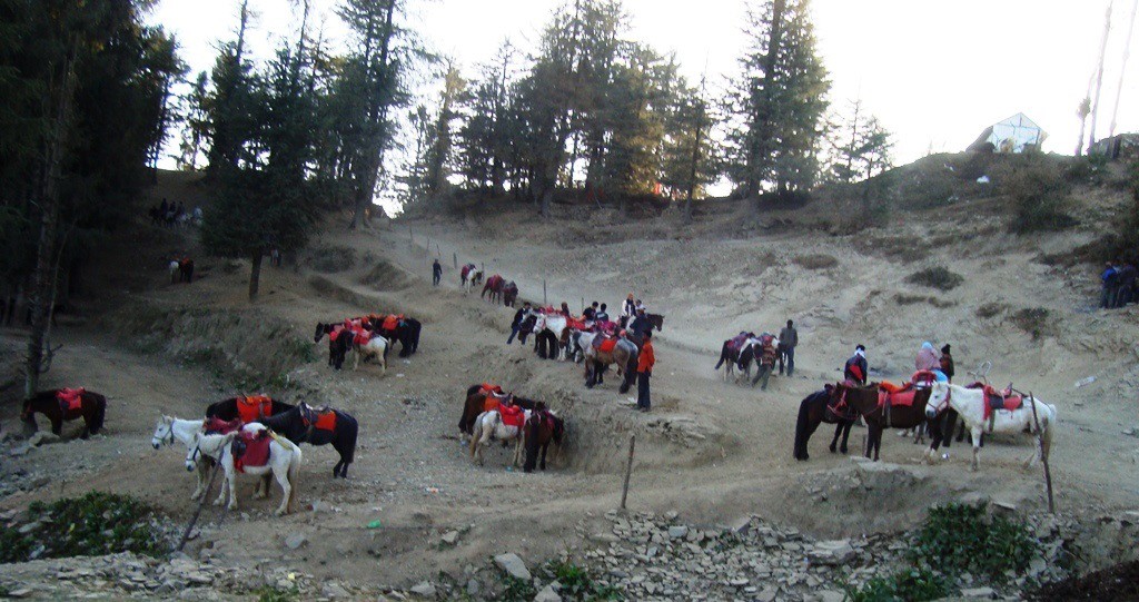 Horseride from Kufri
