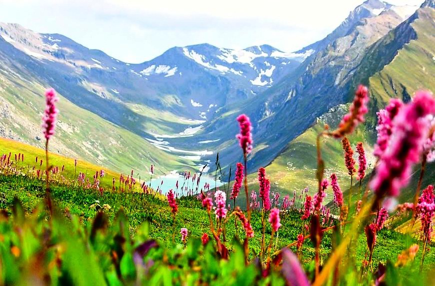 Valley of Flowers
