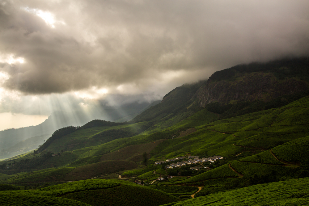 Munnar in monsoon