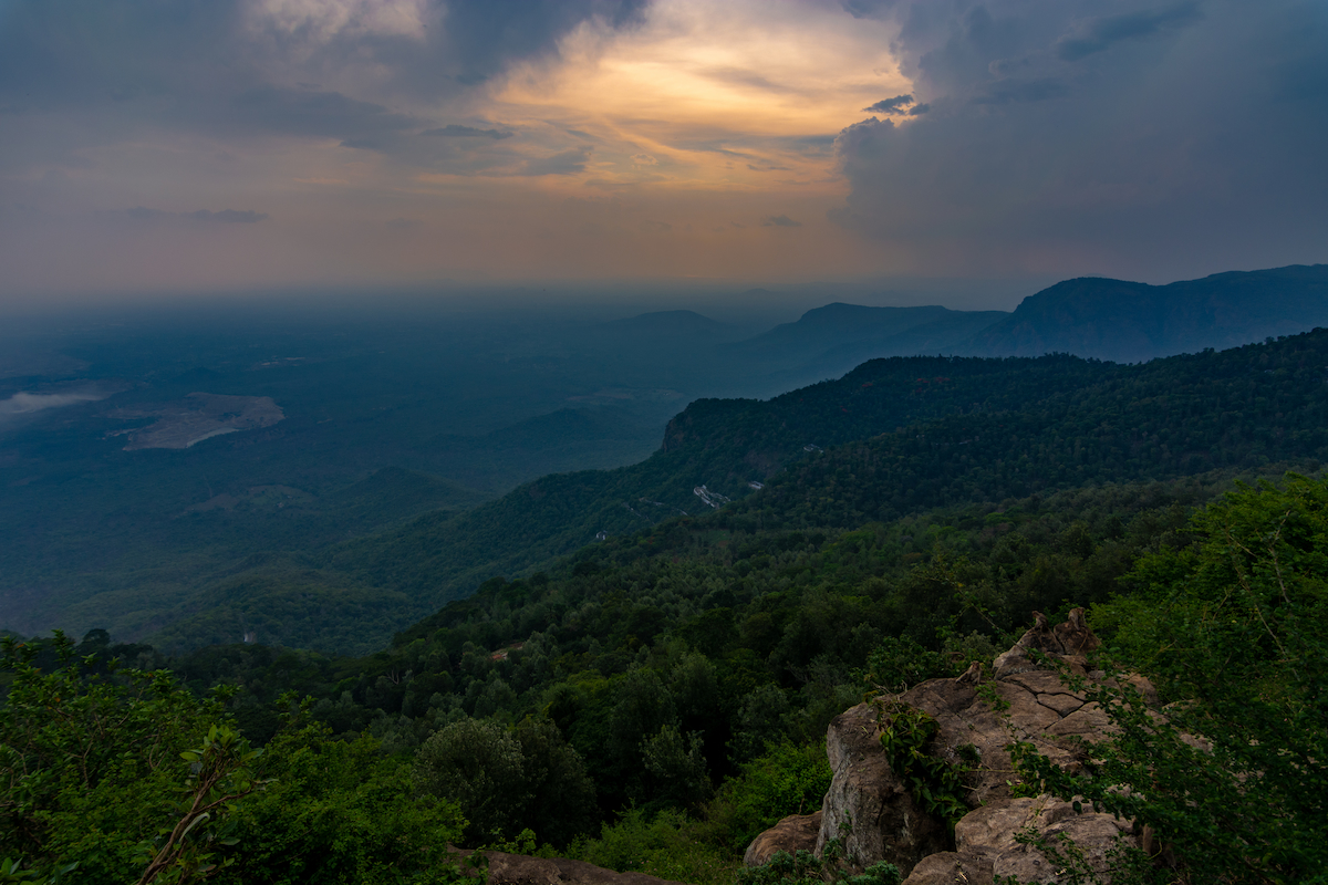 Yercaud landscape