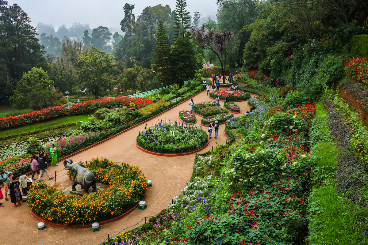 ooty Botanical Gardens