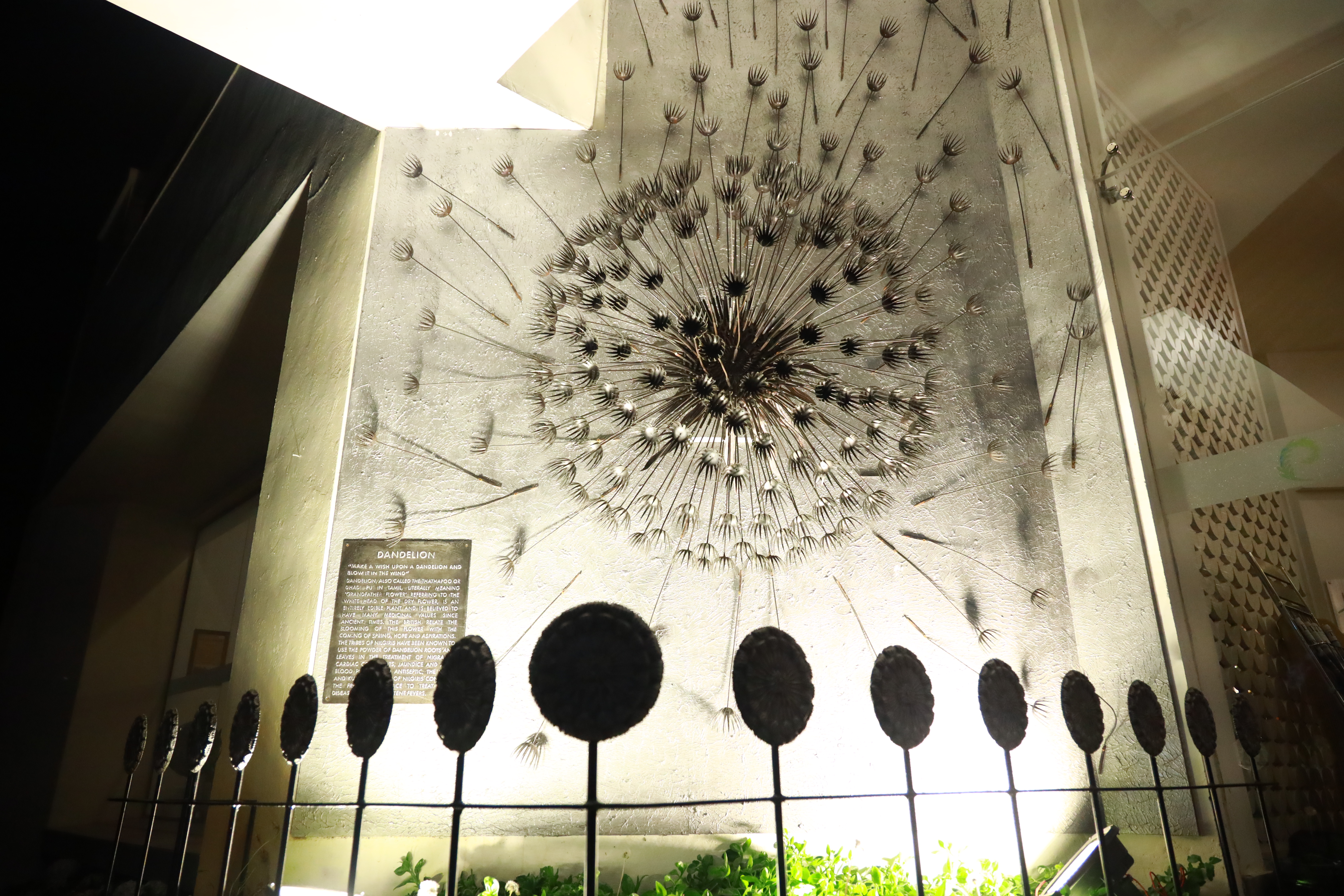 The Dandelion Installation